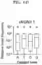 Fig. 52 - SYSTEM AND METHOD FOR PREDICTING ACTIVITY AND SPECIFICITY OF 17 SMALL Cas9s USING DEEP LEARNING
