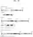 Fig. 74 - SYSTEM AND METHOD FOR PREDICTING ACTIVITY AND SPECIFICITY OF 17 SMALL Cas9s USING DEEP LEARNING