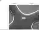 Fig. 01 - IMAGE SENSOR STRUCTURE FOR REDUCED PIXEL PITCH AND METHODS THEREOF