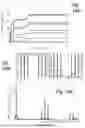 Fig. 12 - Hybrid analog/digital circuit for solving nonlinear programming problems