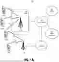 Fig. 02 - MULTICAST AND UNICAST MEDIUM ACCESS CONTROL (MAC) ADDRESS ASSIGNMENT PROTOCOL (MUMAAP)