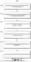 Fig. 08 - Decentralized Identity Management for Web3