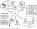 Fig. 02 - Electronic system for dynamic adapted security analysis of network resource components