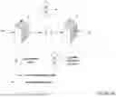 Fig. 40 - Image compression and decoding, video compression and decoding: methods and systems