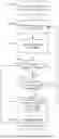 Fig. 07 - HIERARCHICAL MOTION SEARCH PROCESSING