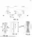 Fig. 02 - Multiplexed Telecommunication-Band Quantum Networking with Atom Arrays in Optical Cavities