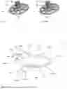 Fig. 06 - HEARING SYSTEM TO BE WORN AT A USER'S HEAD