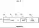 Fig. 06 - Identification of wireless local area network stations using random medium access control addressing