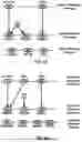 Fig. 06 - Power Headroom Report for Multiple Sounding Reference Signal Resource Sets