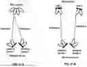 Fig. 22 - Power Headroom Report for Multiple Sounding Reference Signal Resource Sets