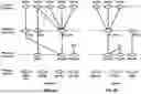 Fig. 06 - Default Power Headroom Report Rules