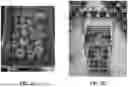 Fig. 06 - HYBRID TOMATO VARIETIES 'E15B51286' AND 'E15B51289'