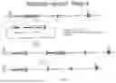 Fig. 08 - Animal Models and Therapeutic Molecules