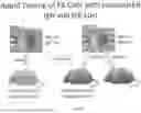 Fig. 20 - Animal Models and Therapeutic Molecules