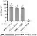 Fig. 01 - Homogenization method of infecting a mosquito with wolbachia