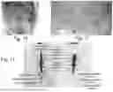 Fig. 06 - METHOD FOR SEX SORTING OF MOSQUITOES AND APPARATUS THEREFOR