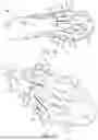 Fig. 10 - Outsole for a Shoe