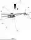 Fig. 08 - PRESS STRUCTURE OF BELT BUCKLE