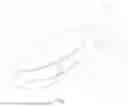Fig. 02 - ANNULAR ORNAMENT