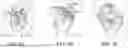 Fig. 06 - HAIR CLASP