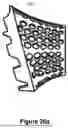 Fig. 40 - APPARATUS AND METHOD FOR DRYING AND STYLING HAIR