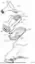 Fig. 02 - Adjustable baby bouncer