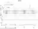 Fig. 09 - SYSTEM, DETERMINATION METHOD, MANUFACTURING METHOD OF MEDICAL DEVICE, AND DETECTION UNIT
