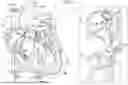 Fig. 02 - MULTI-LUMEN CARDIAC ACCESS