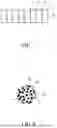 Fig. 06 - ROD FOR SPINAL FIXTURE, AND SPINAL FIXTURE COMPRISING SAME