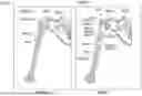 Fig. 40 - MULTI-BONE PREDICTION FOR ORTHOPAEDIC PROCEDURES