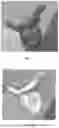 Fig. 08 - VIRTUAL REALITY SURGICAL TRAINING SYSTEMS