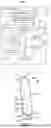 Fig. 02 - DRUG DELIVERY DEVICES WITH PROPELLANT