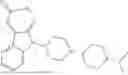 Fig. 255 - Piperidinyl Nociceptin Receptor Compounds