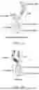 Fig. 02 - ENGINEERED MULTI-SPECIFIC ANTIBODIES AND RELATED METHODS OF USE AND MANUFACTURE