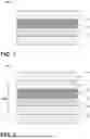 Fig. 02 - LAMINATE AND METHOD FOR DETACHING THE SAME