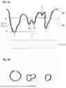 Fig. 02 - RELEASE LINER FOR REPOSITIONABLE ADHESIVE ARTICLES