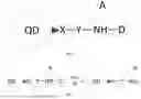 Fig. 02 - Nanoparticle having dissociable protective group, nanoparticle layer patterning method and related application