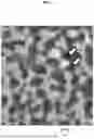 Fig. 08 - LIGHTING DEVICE