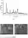 Fig. 02 - SELECTIVE HYDROCRACKING OF NORMAL PARAFFIN