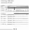 Fig. 28 - Compositions and methods for preparing capped mRNA