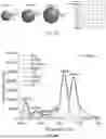 Fig. 09 - Quantum Dot-Peptide PNA-DNA Complexes as a Platform Reporter System for Multiplexed Detection in Cell-Free Transcription Translation-Based Biosensors
