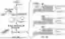 Fig. 08 - METHODS AND COMPOSITIONS FOR INCORPORATING NUCLEOTIDES