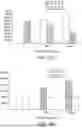 Fig. 53 - METHODS AND COMPOSITIONS FOR INCORPORATING NUCLEOTIDES