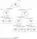 Fig. 22 - DIAGNOSIS OF SEPSIS