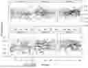 Fig. 74 - DIAGNOSIS OF SEPSIS
