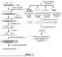 Fig. 02 - DETECTION SYSTEM AND DETECTION METHOD OF GENOMIC CARCINOGENESIS INFORMATION BASED ON CELL-FREE DNA