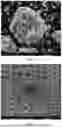 Fig. 02 - METHOD FOR PREPARING NANO-PHASE REINFORCED NICKEL-BASED HIGH-TEMPERATURE ALLOY USING MICRON CERAMIC PARTICLES