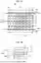 Fig. 02 - ELECTROCHEMICAL CELL FOR HYDROGEN PUMP AND COMPRESSION APPARATUS