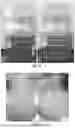 Fig. 10 - Microorganisms and artificial ecosystems for the production of protein, food, and useful co-products from C1 substrates