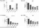 Fig. 43 - Blood Preparation and Profiling